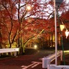 紅葉ライトアップ入り口