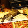 ふんぞり返り。