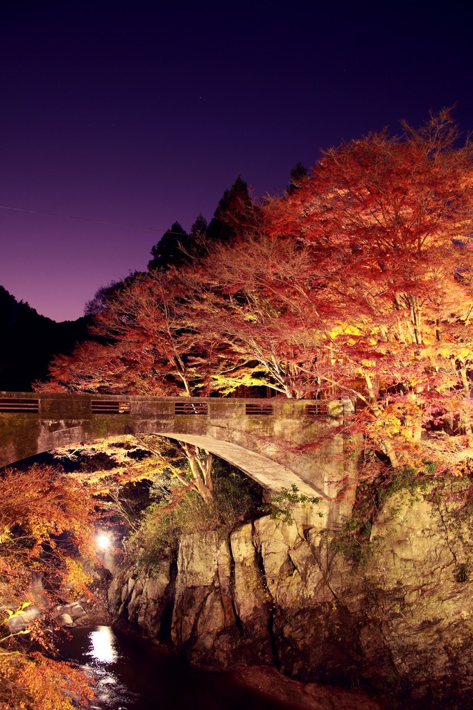 古橋
