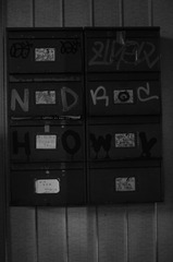 DSC_0164