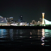 DPP_4198