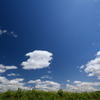DPP_4301