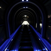 DPP_4217