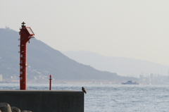 DPP_3939