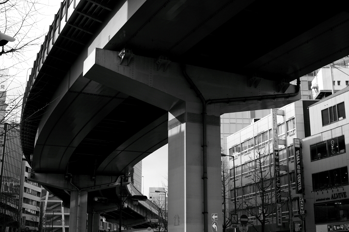 DPP_4068