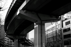 DPP_4068