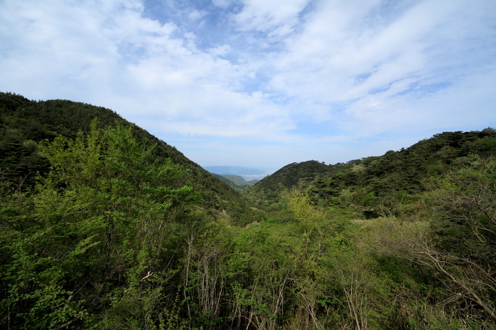 DPP_4246