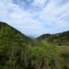 DPP_4246