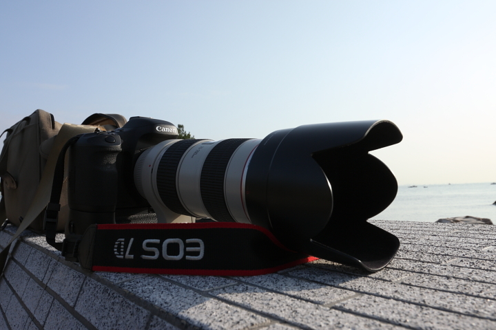 ７D