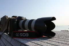 ７D