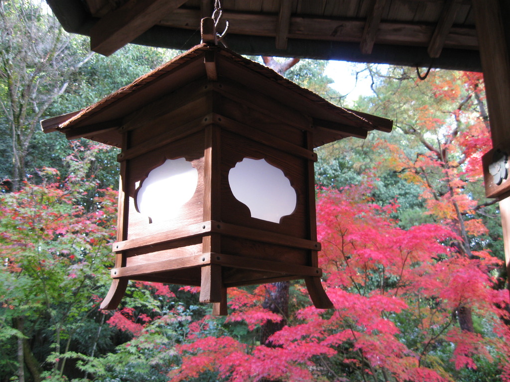 京都大徳寺高桐院庭提灯