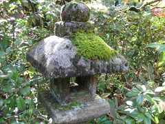 京都大徳寺高桐院石灯籠と苔とコイン