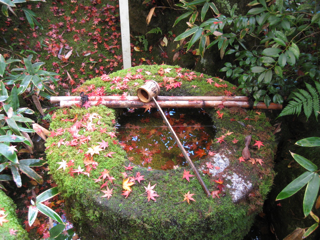 京都大徳寺高桐院浄水盤