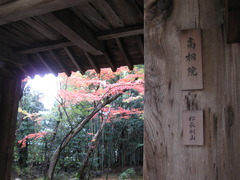 京都大徳寺高桐院門