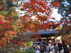 京都南禅寺紅葉越し三門