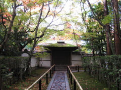 京都大徳寺高桐院通路