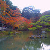 岩にて松