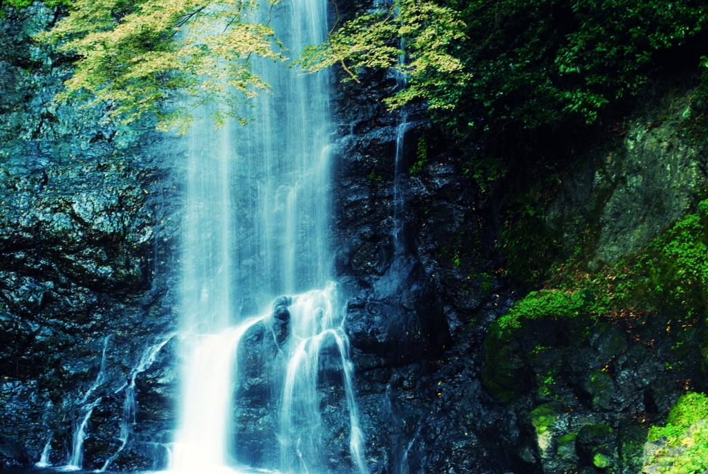 箕面の滝