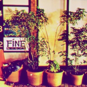 FINE