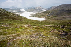 お花畑と大雪山系