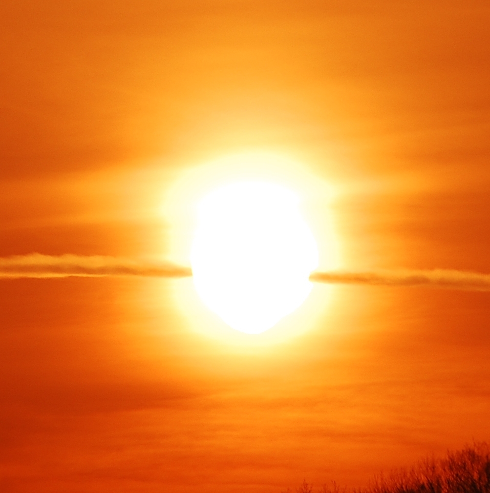 D40 822-crop