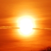 D40 822-crop
