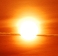 D40 824-crop