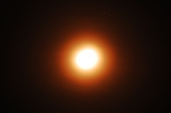 D40 787