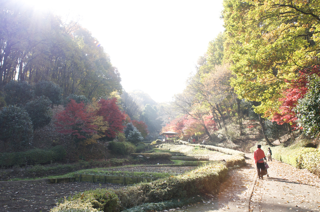 町田の公園