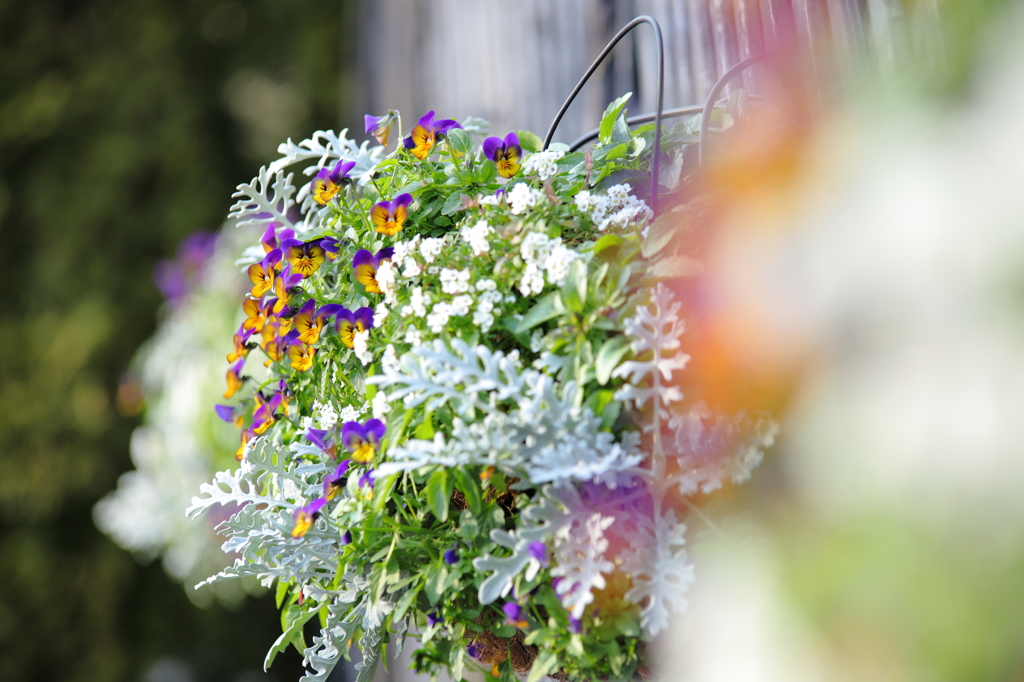 Hanging basket