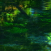 彩流