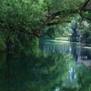 湧水のアートⅢ