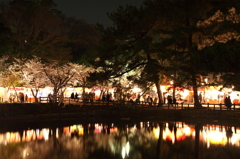 夜桜参り