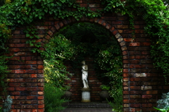 Venus