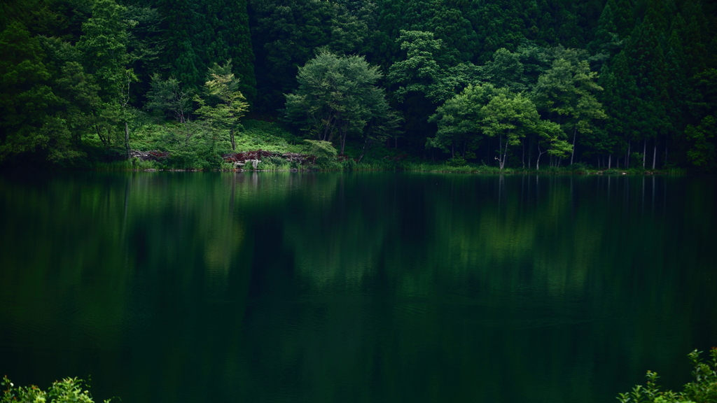 夏、中綱湖
