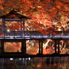 紅夜景