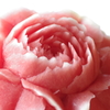 花開く西瓜