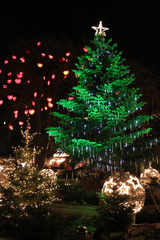 もうすぐクリスマス