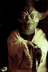 master-yoda