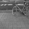 街中の自転車