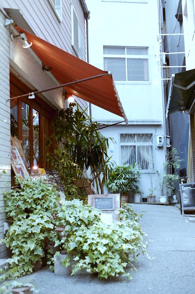 路地