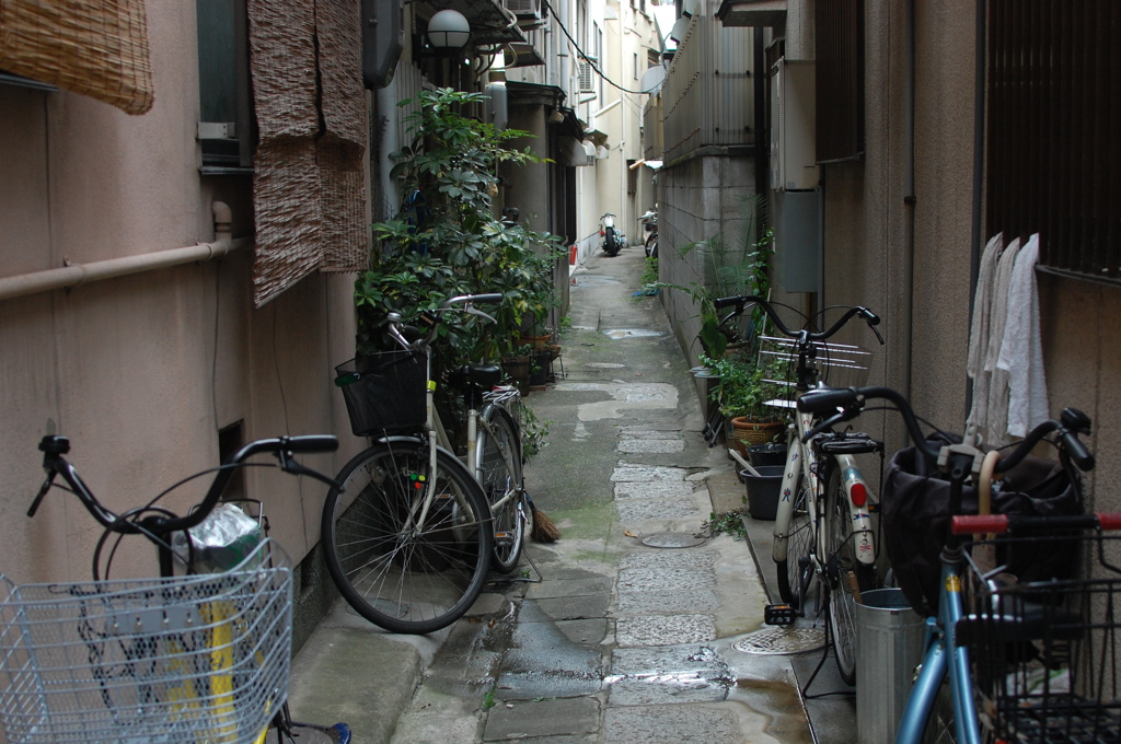 路地