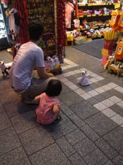 気になるねん