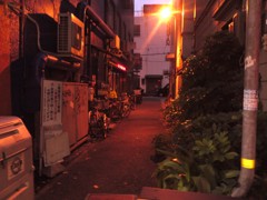 路地