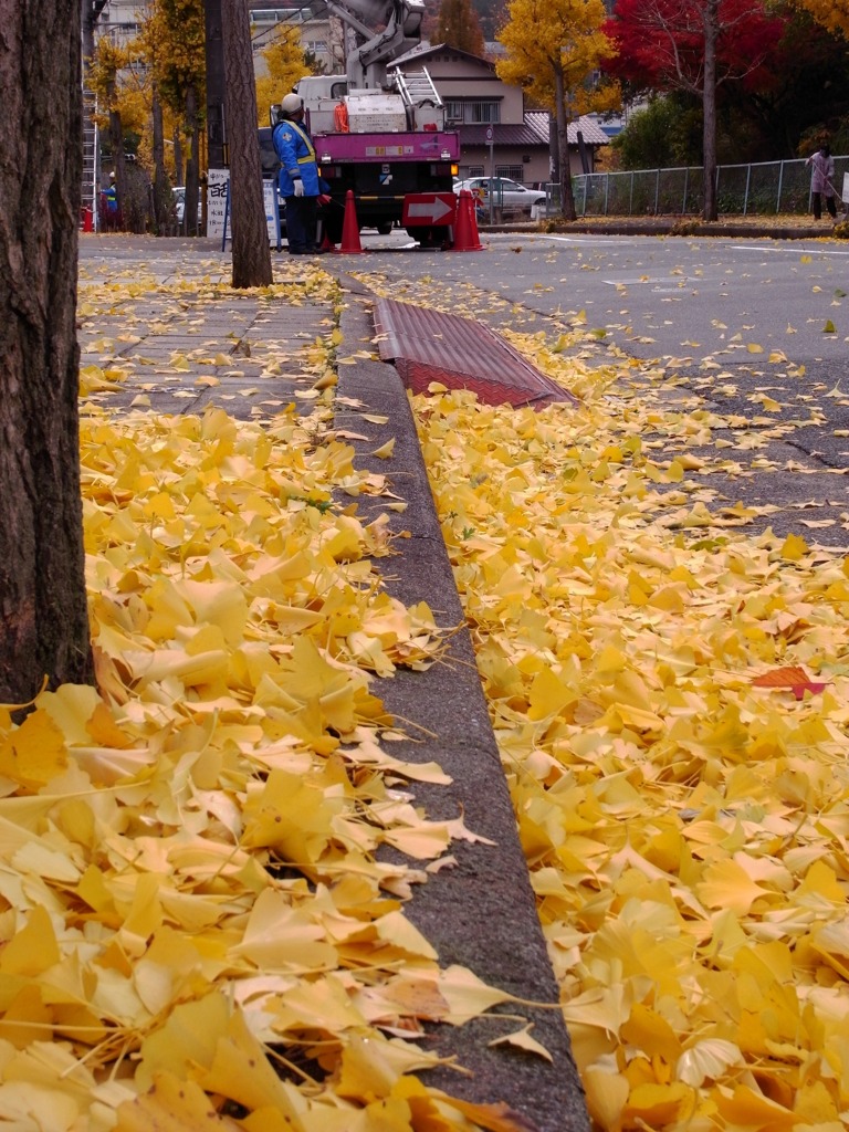 黄色い道。