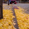 黄色い道。