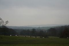 England