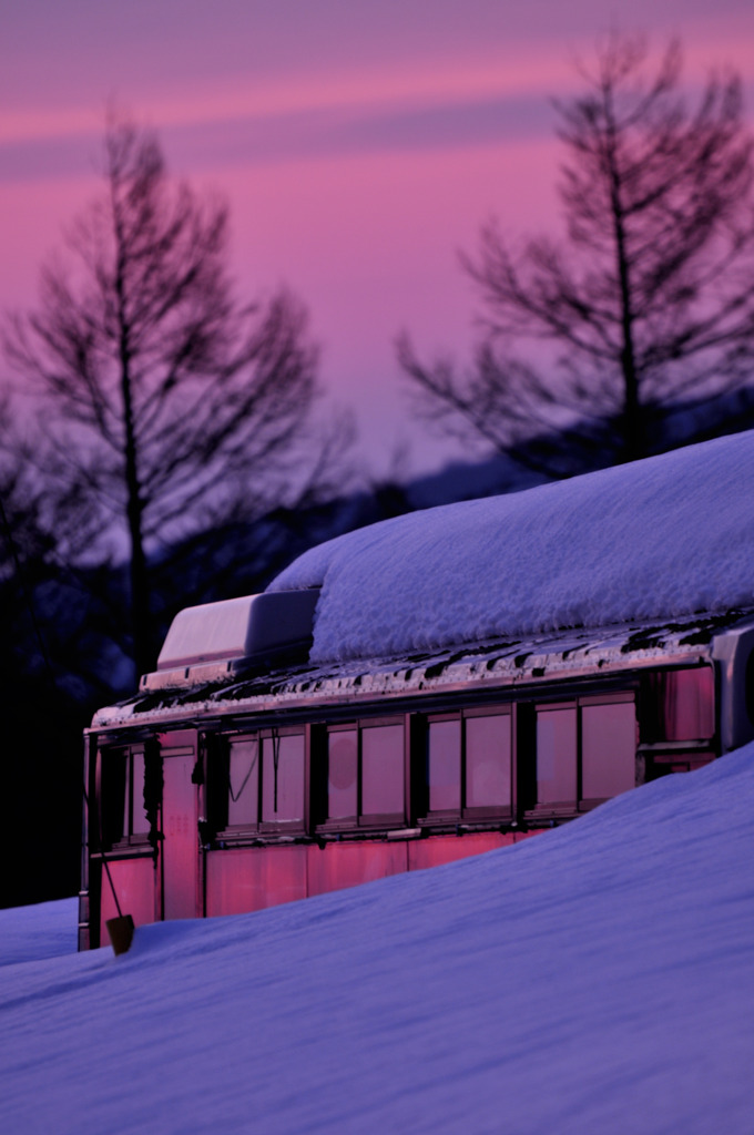 春まだ遠し夕暮れ