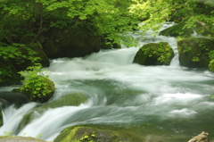 奥入瀬渓流　阿修羅の流れ