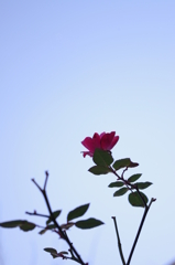 IMGP0410